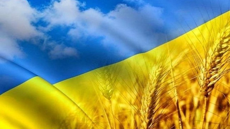 баннер